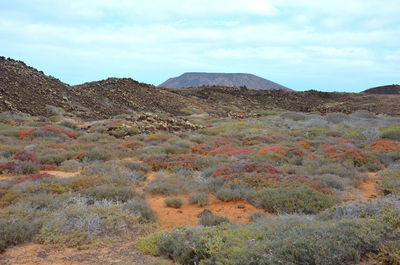 Scenic view of landscape against sky