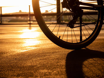 Low section of person with bicycle on road