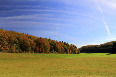 Trees on field against sky