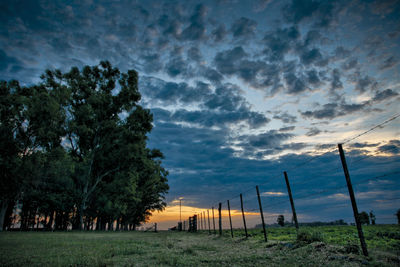 Trees on field against dramatic sky