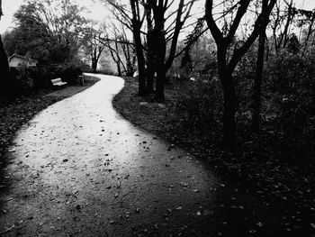 Road amidst trees against sky