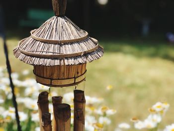 Close-up of lantern hanging from plant in yard