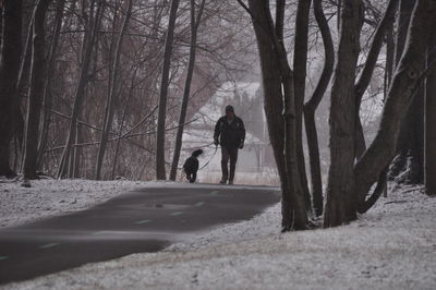 Rear view of people walking on road in forest during winter