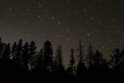 Low angle view of silhouette trees against sky at night