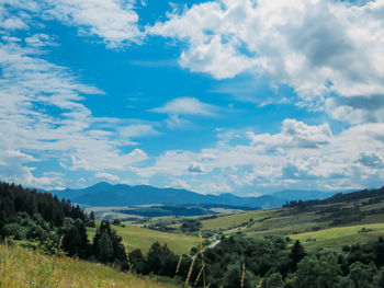 Scenic view of field against sky