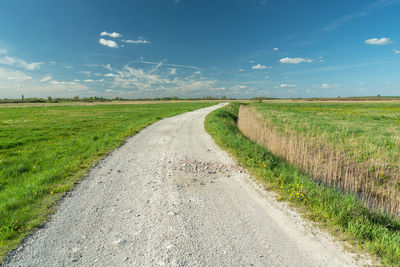 Gravel dirt road between green meadows and clear sky