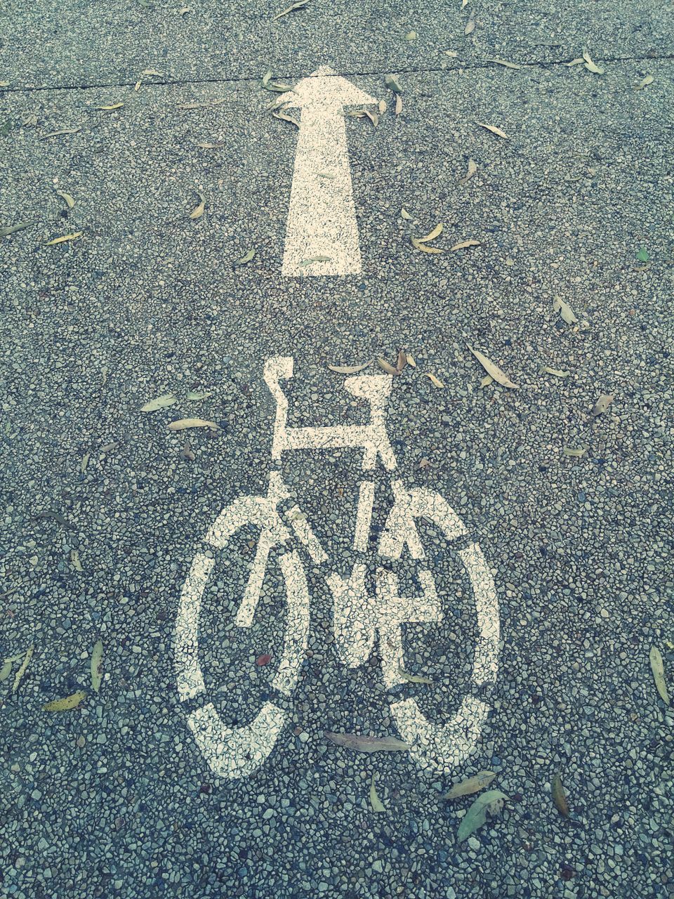 HIGH ANGLE VIEW OF BICYCLE ON ROAD