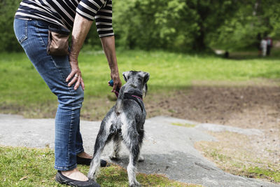 Low section side view of senior woman with dog on field