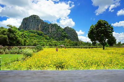 Scenic view of grassy field against cloudy sky