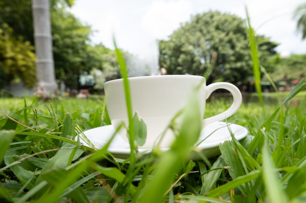 CLOSE-UP OF COFFEE CUP ON FIELD