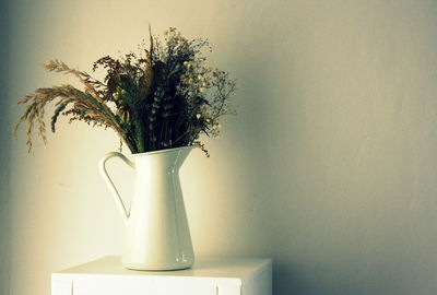 Close-up of potted plant on table against wall