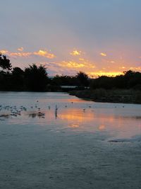 Silhouette ducks swimming in lake during sunset