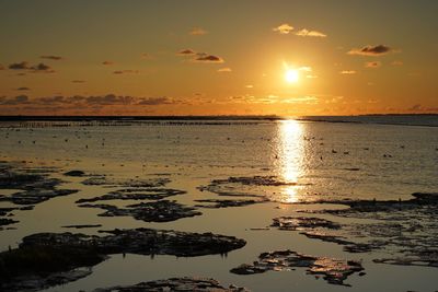 Scenic view of sea against sky during sunset