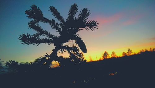 Low angle view of silhouette trees against sky at sunset