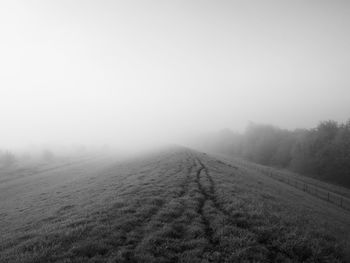Scenic view of trees on field against sky