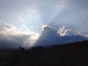 Scenic view of tree against sky