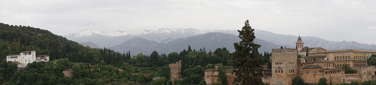 Panoramic view of trees and buildings against sky