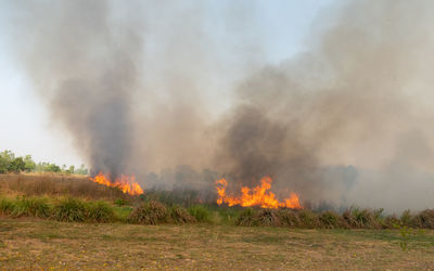 Panoramic view of bonfire on field