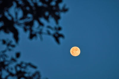 Low angle view of moon against blue sky at night