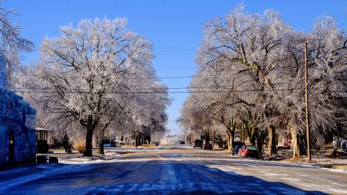 Road amidst trees against clear blue sky