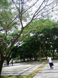 People walking on footpath