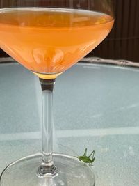 Close-up of beer in glass on table