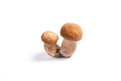 Close-up of cookies against white background