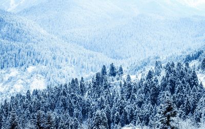 Aerial view of snow covered landscape