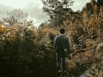 Rear view of man walking on landscape against trees