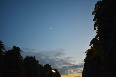 Low angle view of silhouette trees against sky