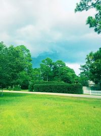 Scenic view of green field against sky