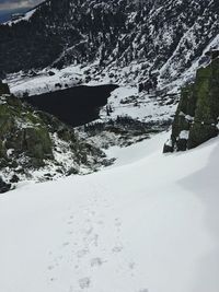 Scenic view of snow covered trees