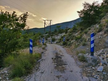 Road amidst plants and trees against sky