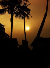 Silhouette of tree at sunset