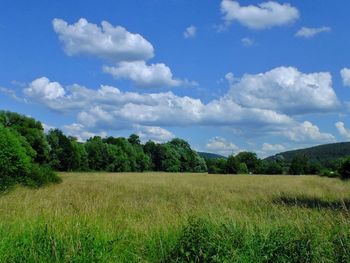 Scenic view of field against sky