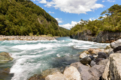 Scenic view of river amidst trees against sky