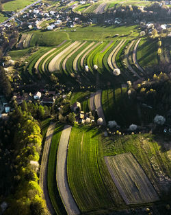 Spring green fields