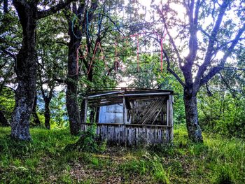 Abandoned house in forest