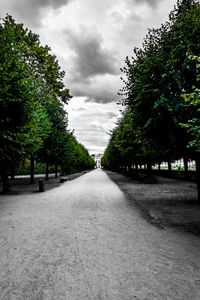 Road amidst trees against sky