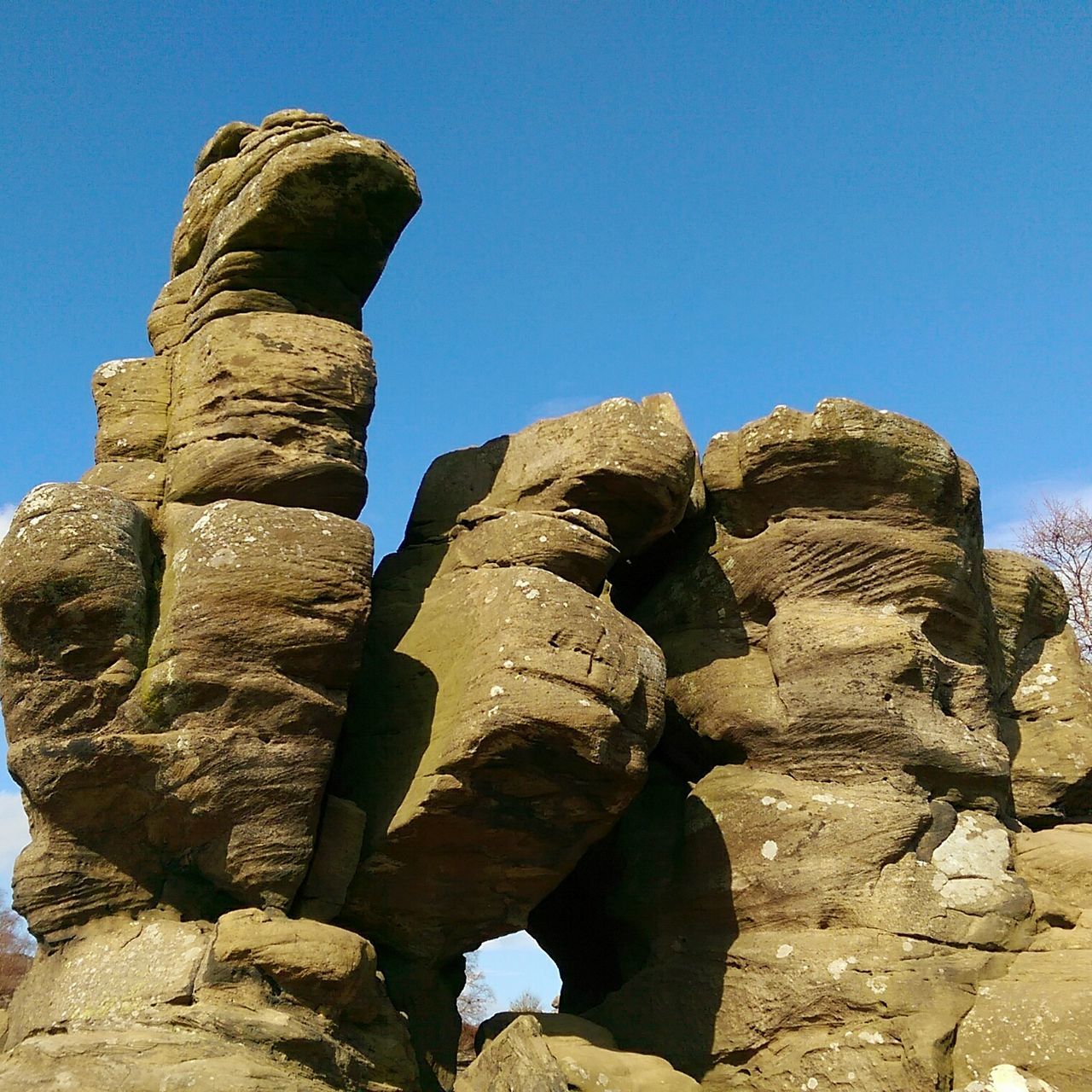 Brimham Rocks Trig Point