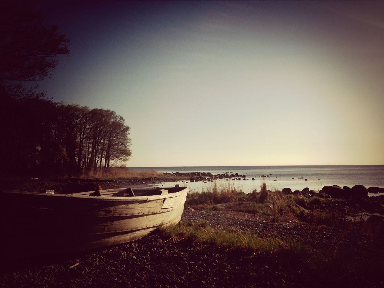 clear sky, water, tranquil scene, tranquility, copy space, scenics, sea, horizon over water, tree, beauty in nature, nature, beach, shore, idyllic, non-urban scene, calm, outdoors, remote, sky, no people