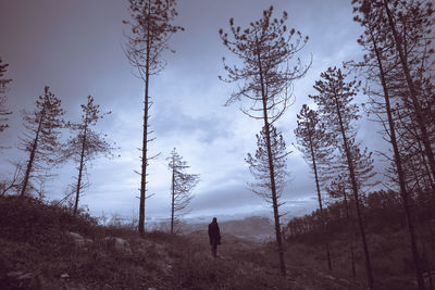 Rear view of silhouette man standing by trees in forest against sky
