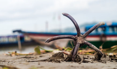 Close-up of metal on sand