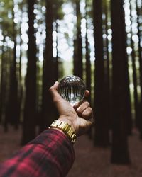 Cropped hand holding crystal ball against trees