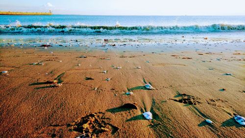 High angle view of sand on beach