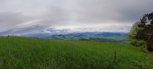 Scenic view of field against sky