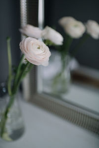 Close-up of white rose on table