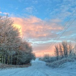 Scenic view of snow covered landscape