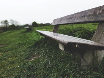 Close-up of grass on field against clear sky