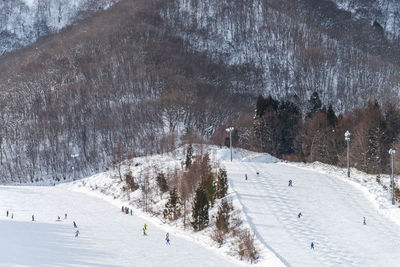 Group of people on snow covered land